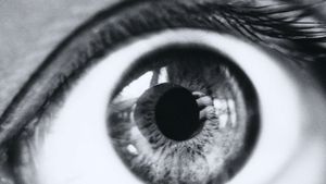 The Eye's Dream's poster