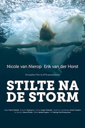 Stilte na de storm's poster