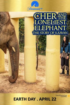 Cher & the Loneliest Elephant's poster
