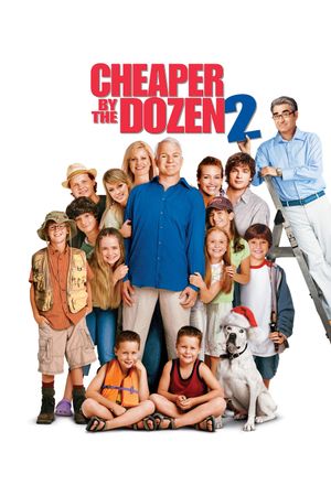 Cheaper by the Dozen 2's poster