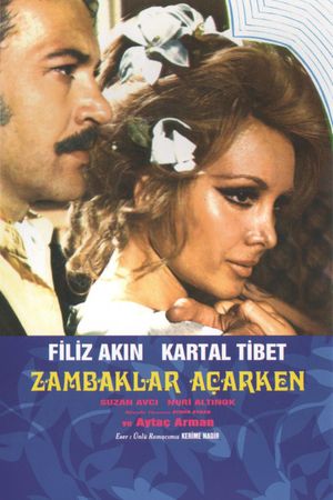 Zambaklar Acarken's poster