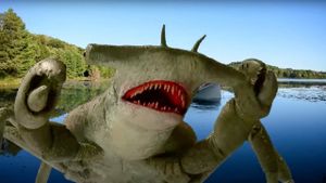 Cocaine Shark's poster