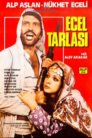 Ecel Tarlasi's poster