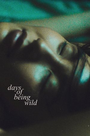 Days of Being Wild's poster