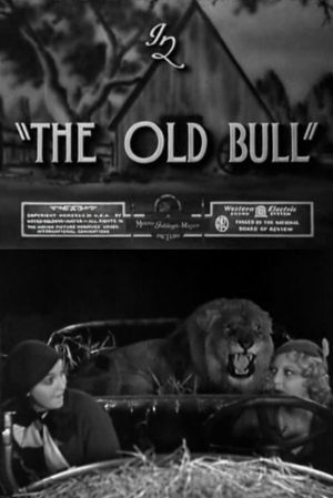 The Old Bull's poster