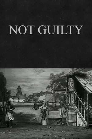 Not Guilty's poster