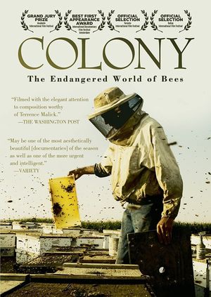 Colony's poster