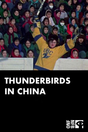 Thunderbirds in China's poster