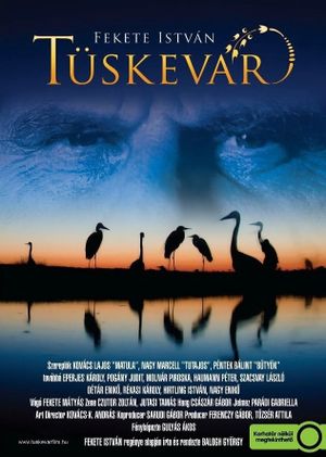 Tüskevár's poster