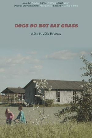 Dogs Do Not Eat Grass's poster