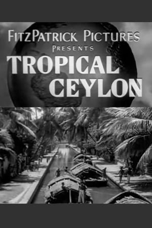 Tropical Ceylon's poster