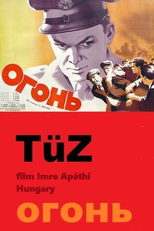 Tüz's poster