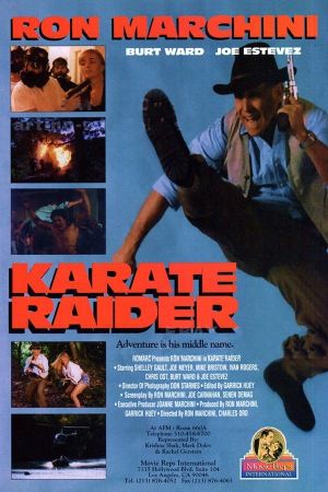 Karate Raider's poster
