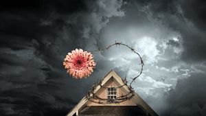 Petals on the Wind's poster