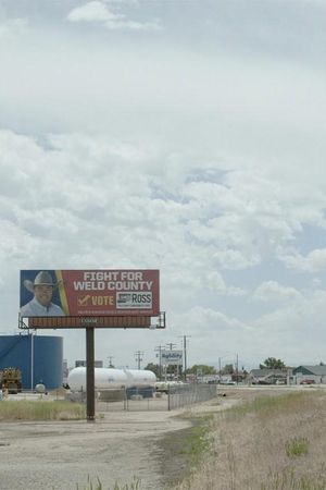 Sanctuary's poster