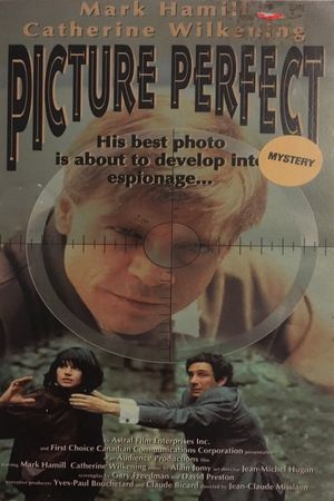 Picture Perfect's poster image
