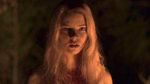 The Witch's poster