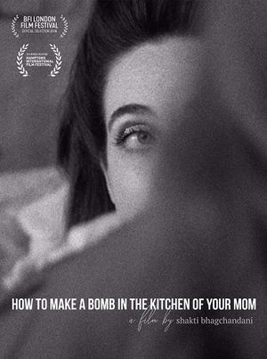 How to Make a Bomb in the Kitchen of Your Mom's poster