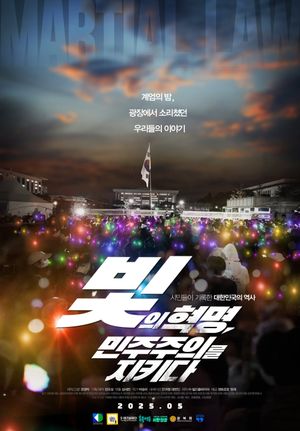 빛의 혁명, 민주주의를 지키다's poster