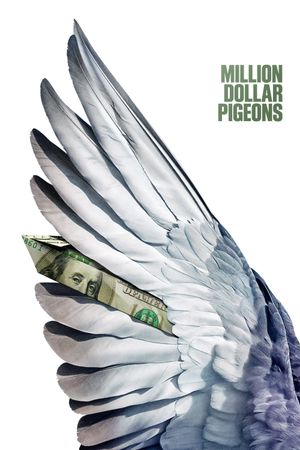 Million Dollar Pigeons's poster