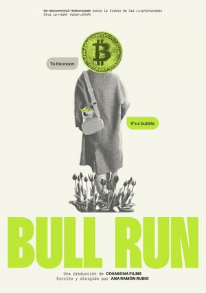 Bull Run's poster