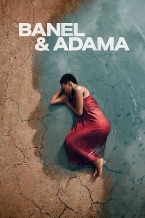 Banel & Adama's poster