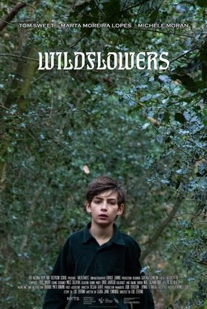 Wildflowers's poster