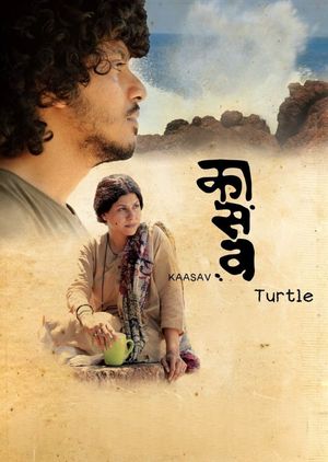 Kaasav: Turtle's poster