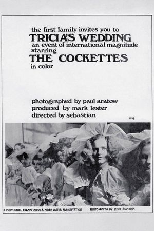 Tricia's Wedding's poster
