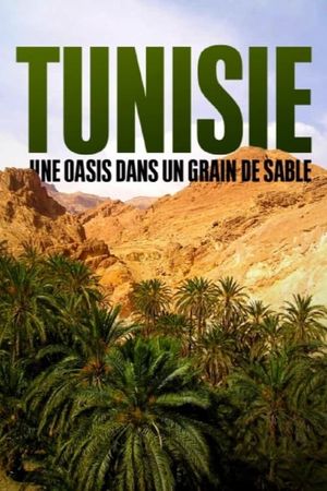 Tunisie : Une oasis dans un grain de sable's poster