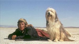 A Boy and His Dog's poster