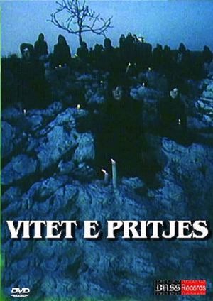 Vitet e pritjes's poster