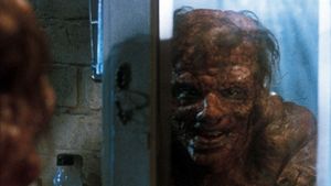 The Fly's poster