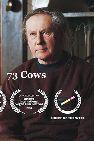 73 Cows's poster