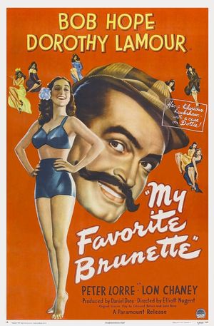 My Favorite Brunette's poster