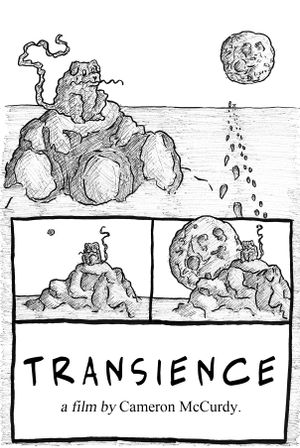 Transience's poster