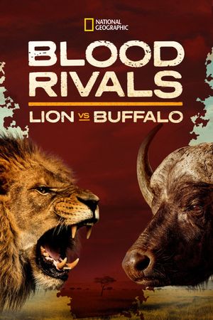 Blood Rivals: Lion vs Buffalo's poster image