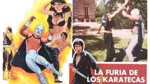 The Fury of the Karate Experts's poster