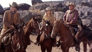 The Train Robbers's poster
