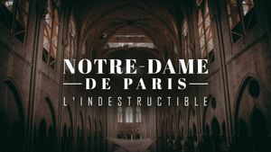 Notre-Dame de Paris, l'indestructible's poster