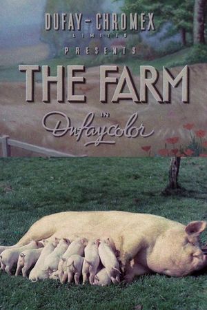 The Farm's poster