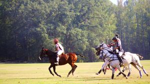 From Rodeo to Polo: The 1st HBCU Polo Team's poster