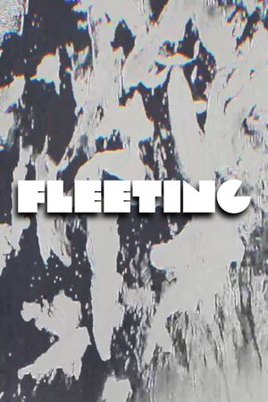 FLEETING's poster