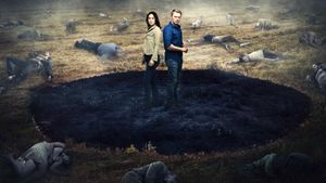 Radius's poster