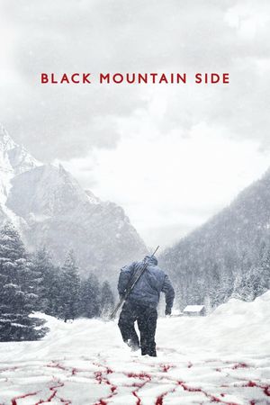 Black Mountain Side's poster image