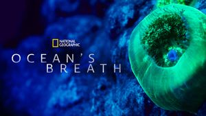 Ocean's Breath's poster