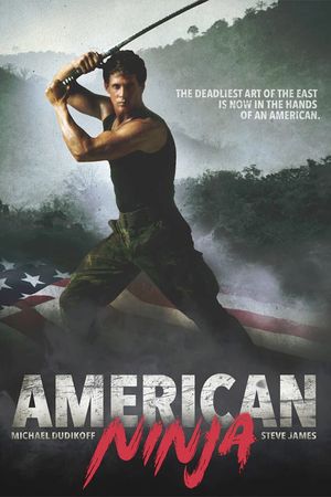 American Ninja's poster