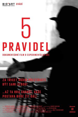5 pravidel's poster
