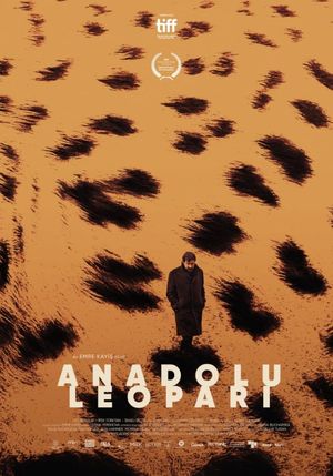 Anatolian Leopard's poster