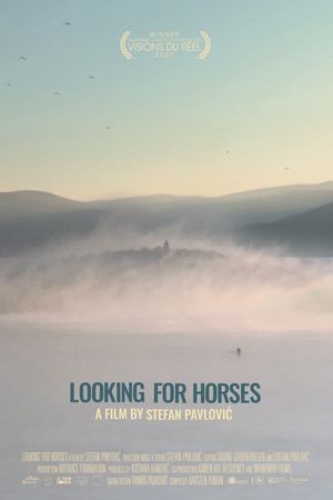 Looking for Horses's poster